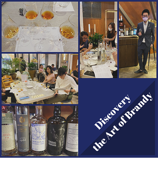 Discovering the Art of Brandy The Whisky Library