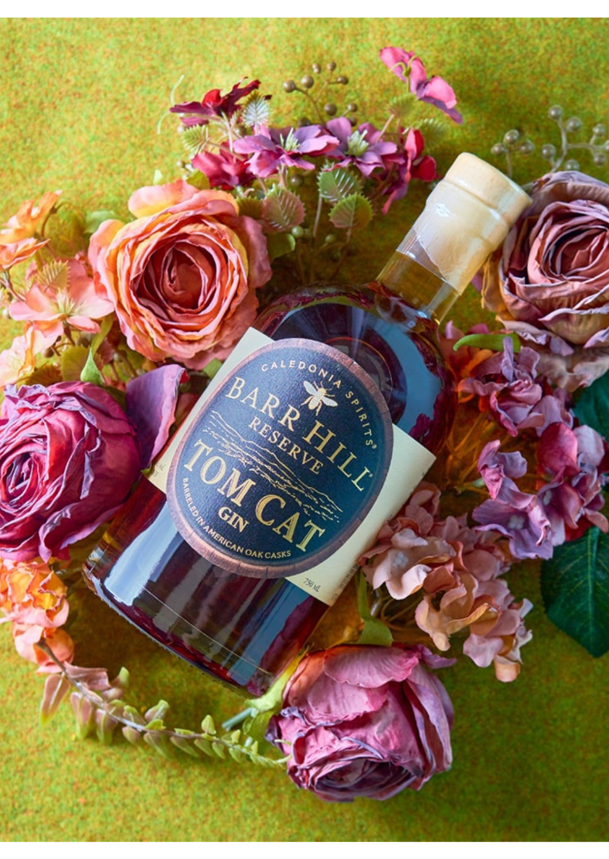 The Amber Soul：Tom Cat Gin by Caledonia Spirits