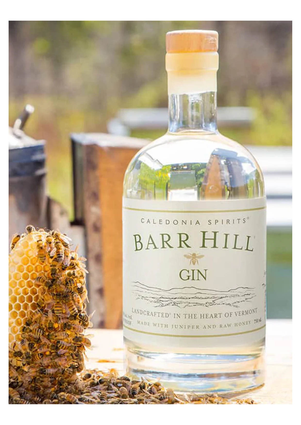 向勤勞蜜蜂致敬---- Barr Hill Gin